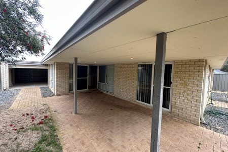 45 Ringwood Loop, WELLARD, WA 6170 AUS