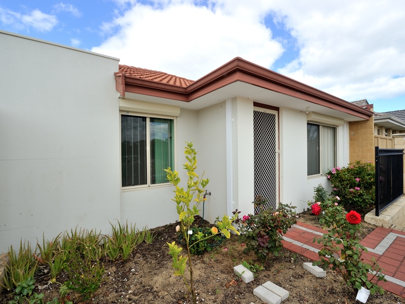 38 Darton Loop, BERTRAM, WA 6167 AUS