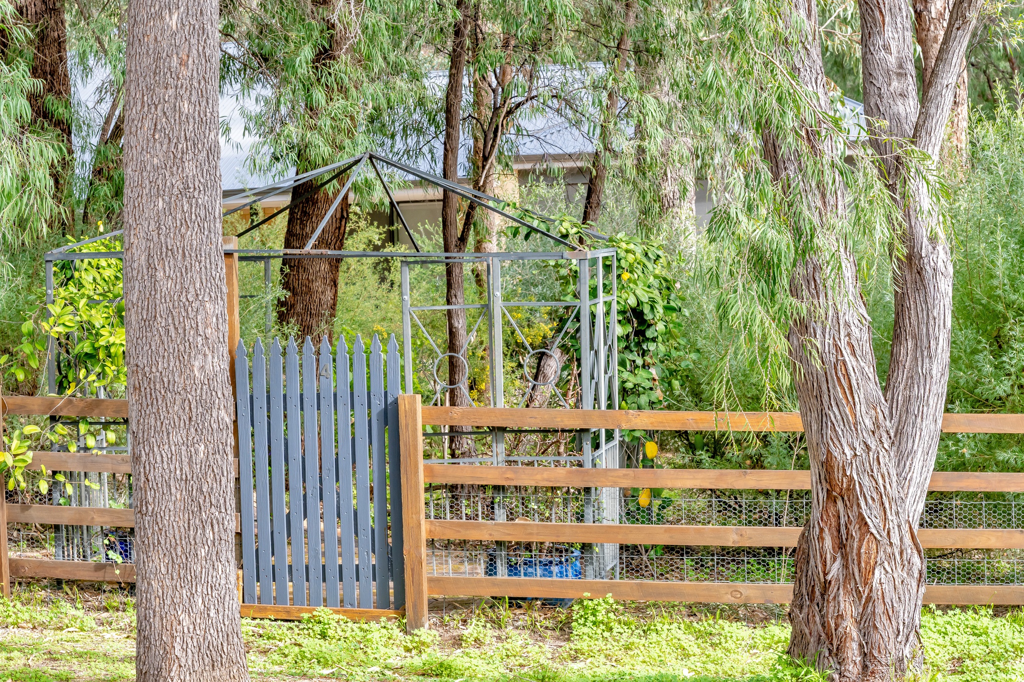 4 Crescent Drive, BOUVARD, WA 6211 AUS