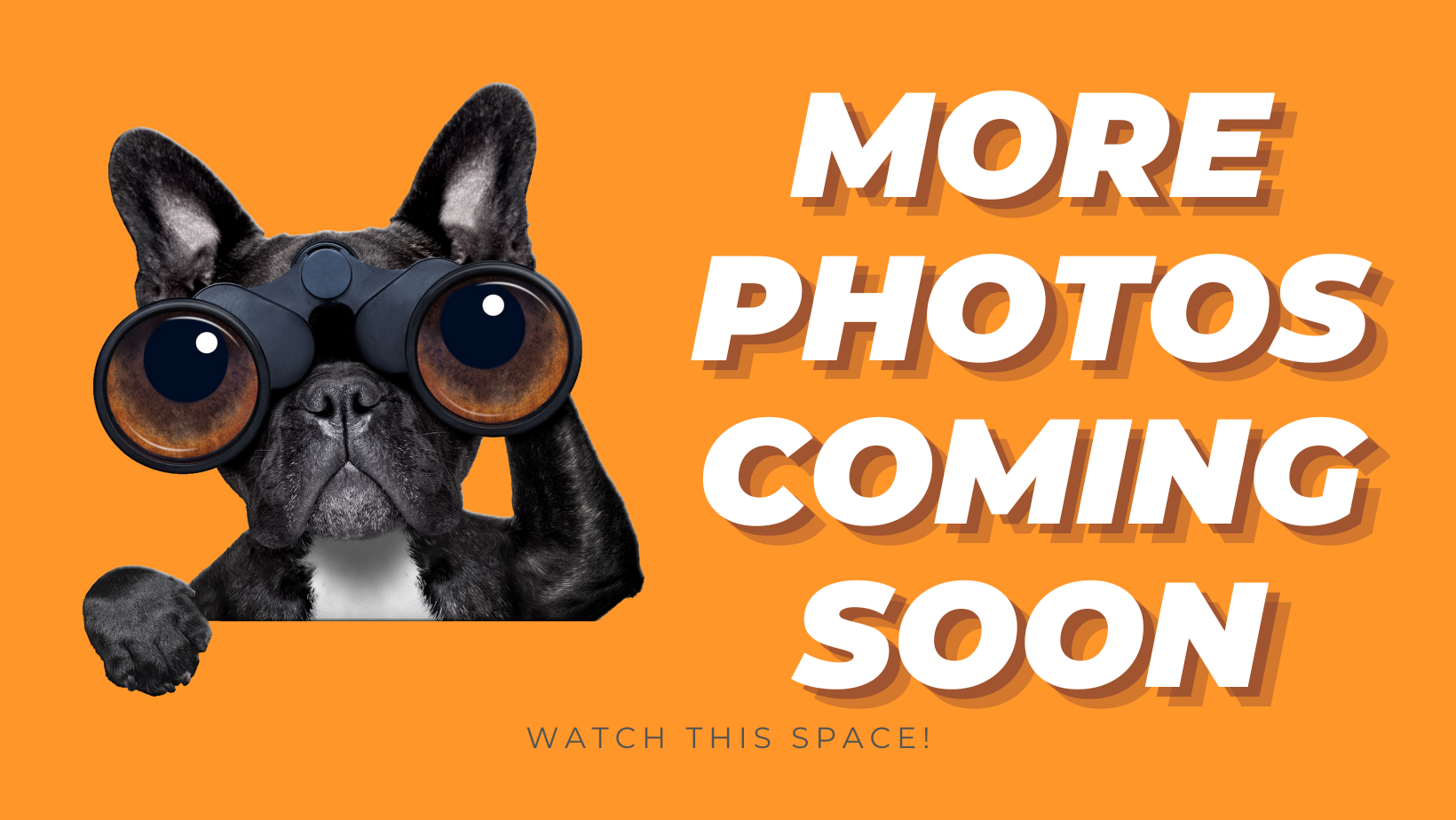 5 Pagham Court, WELLARD, WA 6170 AUS